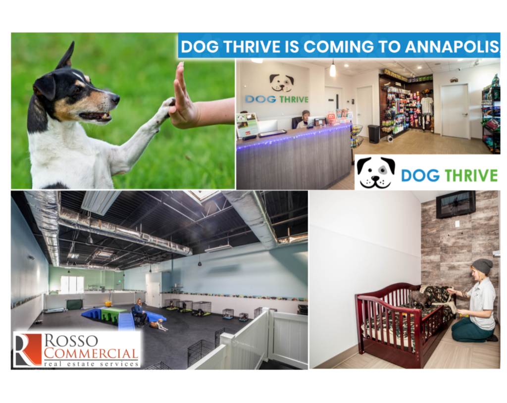 Dog Thrive opening 2nd location in Annapolis! Rosso Commercial