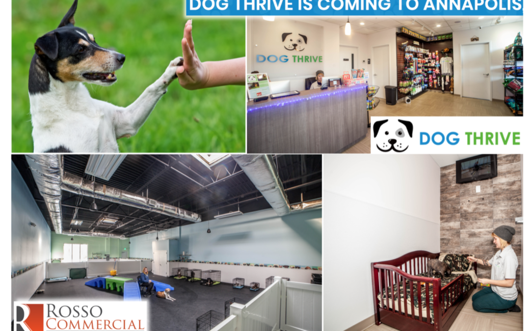 Dog Thrive opening 2nd location in Annapolis!